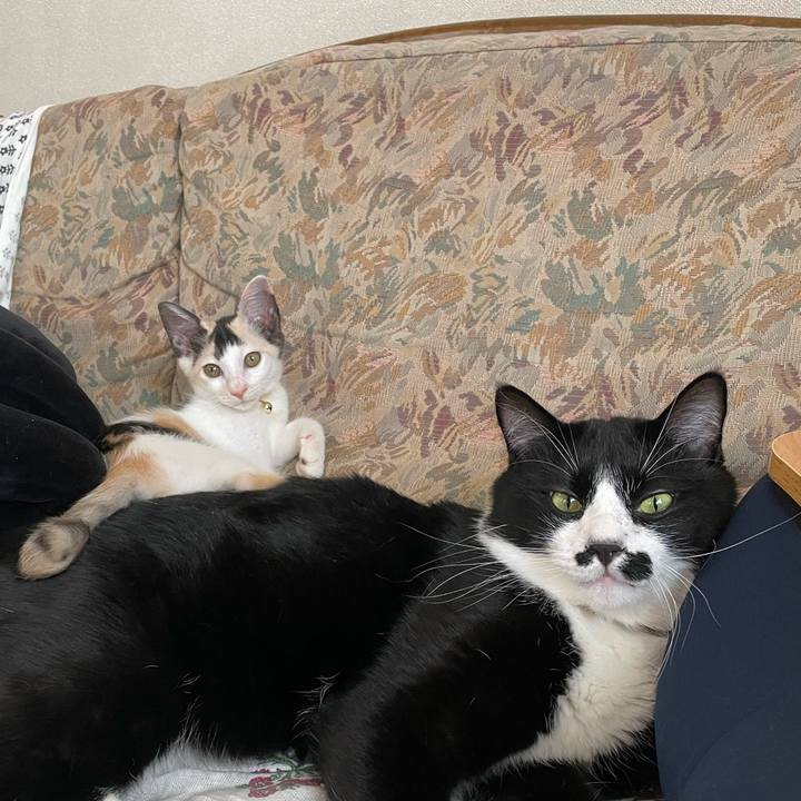 7a3bcbe4 4d65 4c4b 8a85 9701061b802d 1658533098664