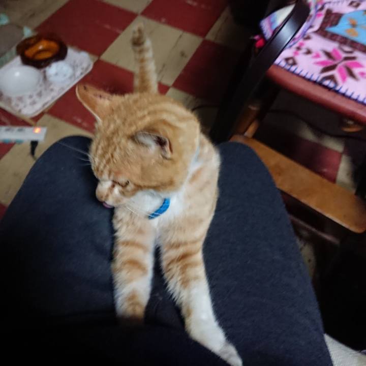 7a3bd351 4060 4061 bb18 6bcee4102f37 1555358760486