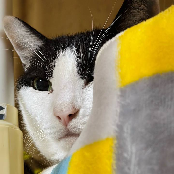 7a3bfd71 6987 4cfa 97ea ff8fd7d2930b 1699924673585