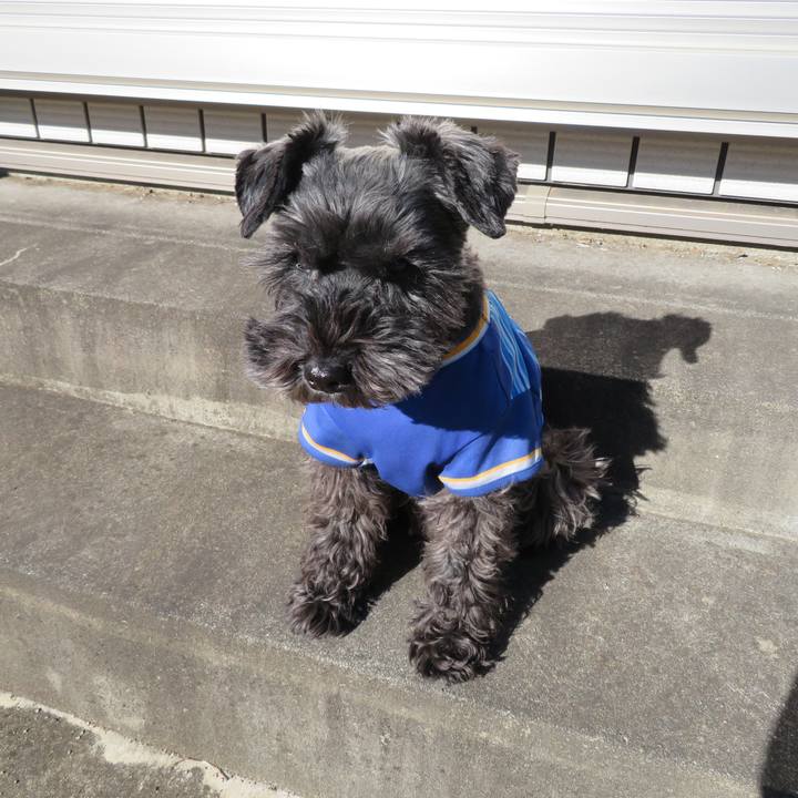 7a3c0135 6c37 43b3 8b33 09bf03120a8c 1609471513941