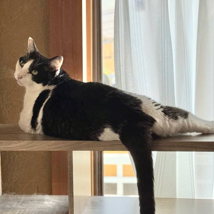 7a3c0465 36f4 401d a932 50da9e71bd2d 1754267755226