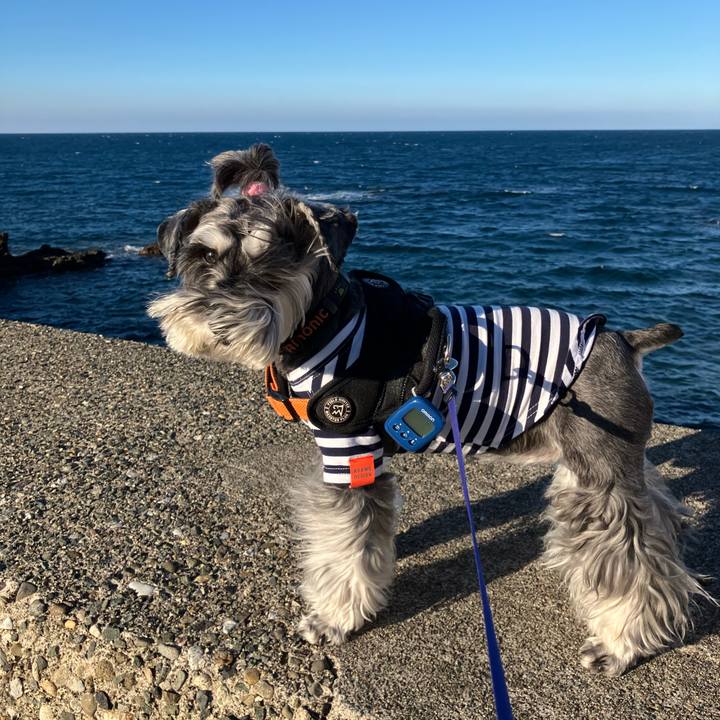 7a3c0add 2202 4726 821d c1666c9cfb94 1728829975218