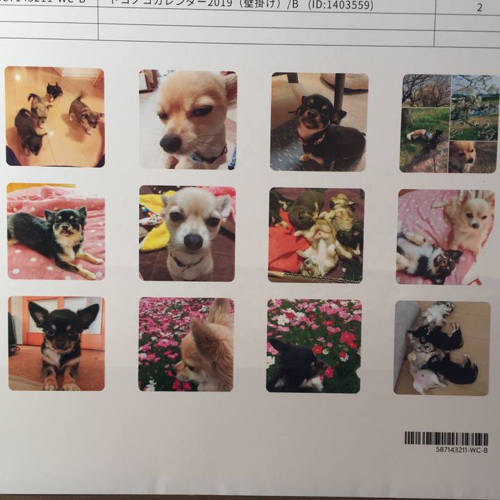 7a3c1e99 7d11 43ab 9d5a 0699b3b616a0 1546235435944