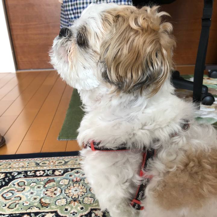 7a3c277b e5d1 469e 9790 f346559985c2 1589073800320