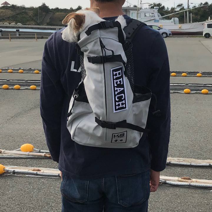 7a3c37b6 ffb8 4127 8858 0929231d759b 1542520080754