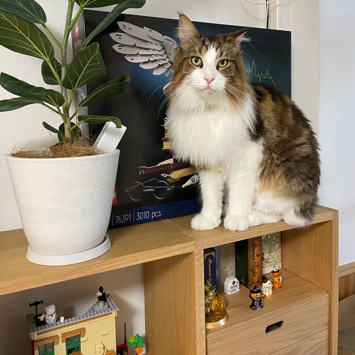 7a3c553e b7c5 4c62 9e25 10e0556e5db7 1696189090713