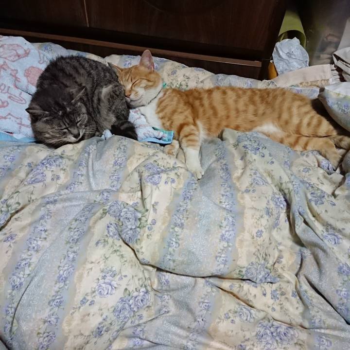 7a3c6ae1 c81a 429a 918c 7056b707371a 1590411624657