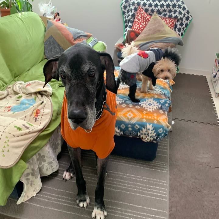 7a3c9921 7ae8 468d aad0 049bba3bfc6a 1574289354532