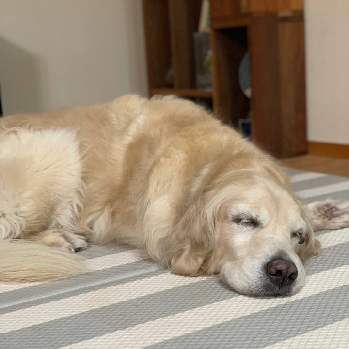 7a3d0264 e404 43c3 8261 b79f1f20f75d 1574418511290