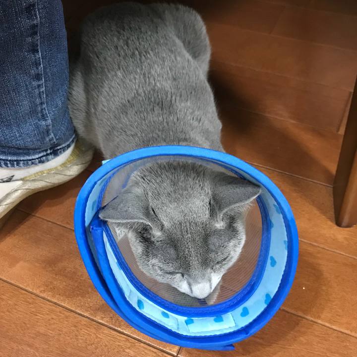 7a3d0a1c f1f0 4050 9127 e6fa1dc199da 1512995147962