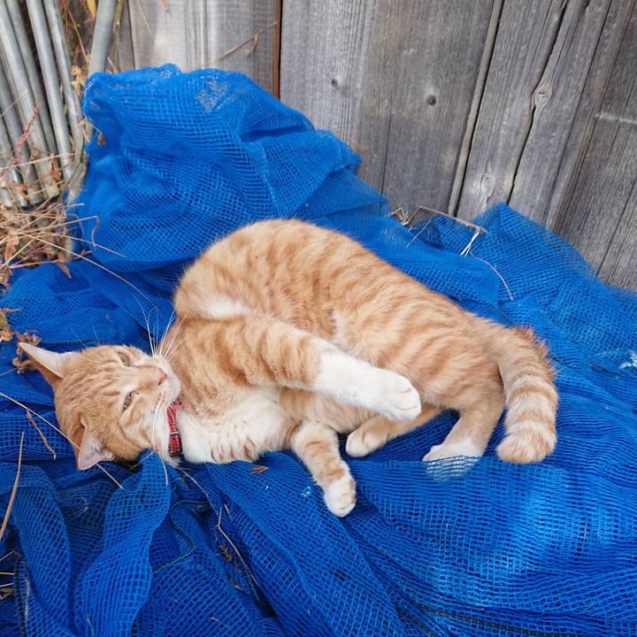 7a3d0cb2 4ea6 4869 9a1a 1b969b7cff66 1572760242059