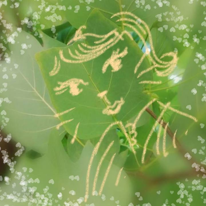 7a3d32b8 86a7 492f 9f4c a5a8a16e89a0 1724503160063