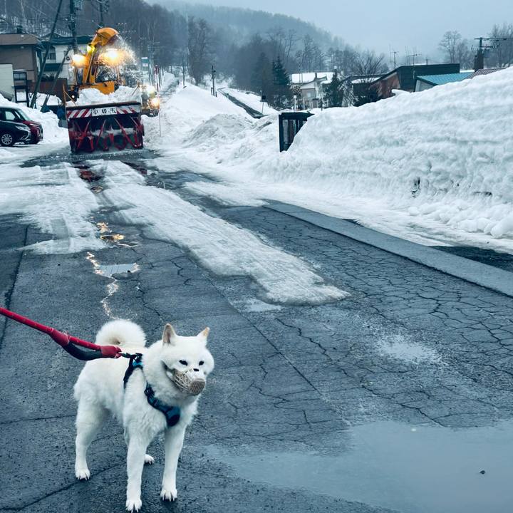 7a3d45ec a44e 45e2 90ee 58cc72f503cc 1772229942503