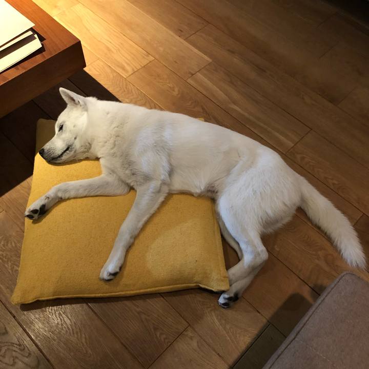 7a3d4cdb 4a94 4ee2 acb0 959bb8f25638 1523374799555