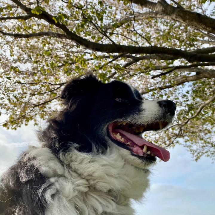 7a3d4d32 4d5d 4075 a164 f1805181e3c0 1649809422115