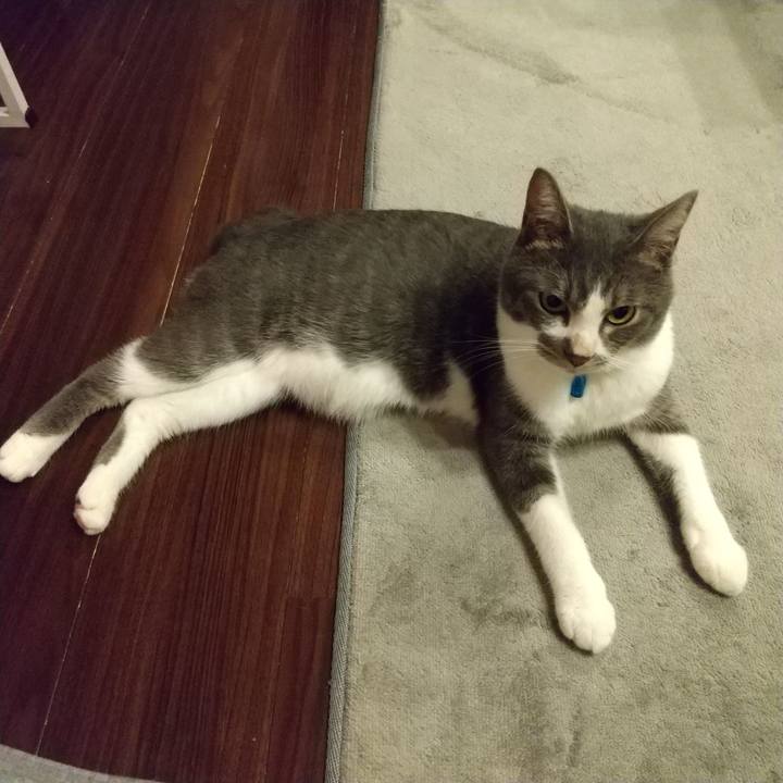 7a3d5a8a 8fa6 4c6d 9f87 f4ceade8d53a 1600347972265