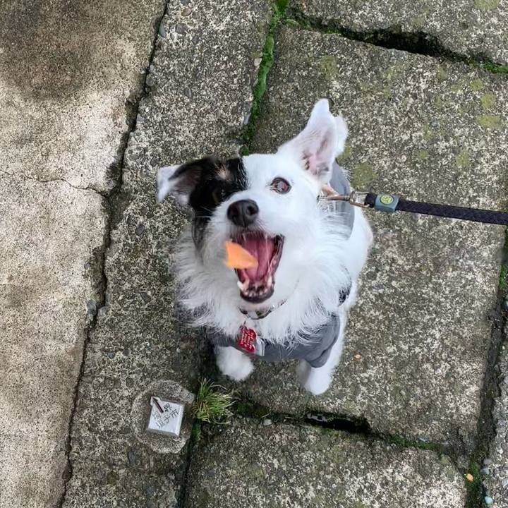 7a3d7885 5834 4c37 a292 2f8511481bd9 1684024649561