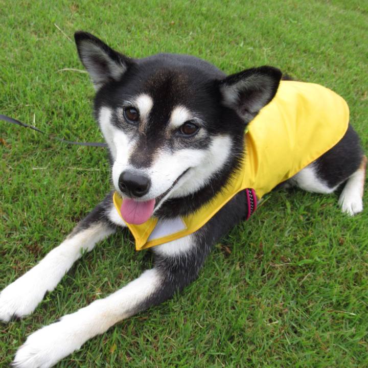 7a3d9d02 8009 46f8 a364 07c8de2e6570 1563833241715