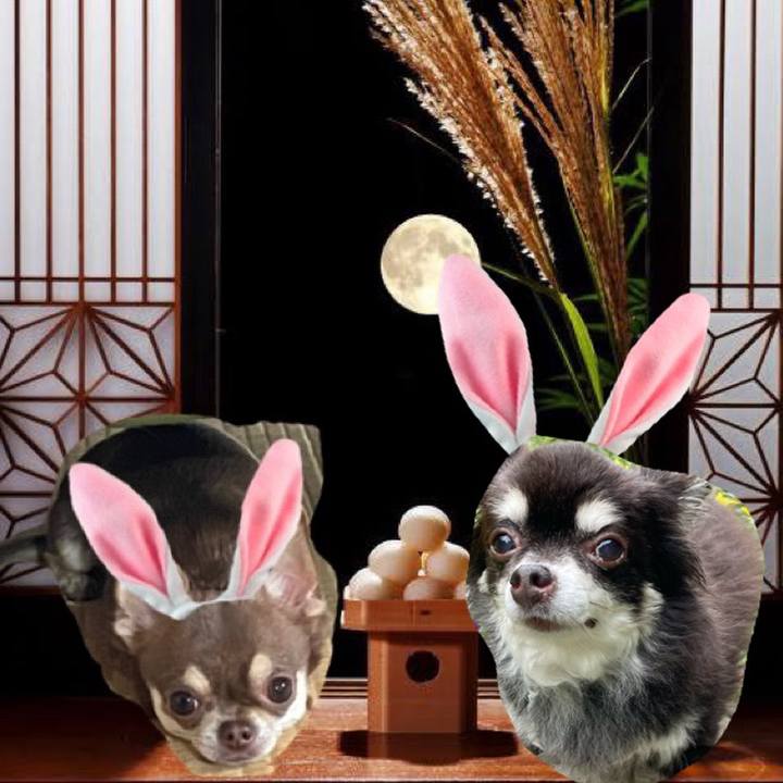 7a3db4b0 f42b 4211 a7f0 478688ff7617 1662803145589