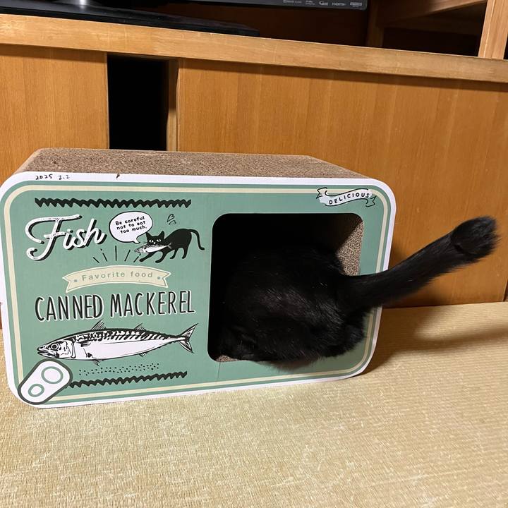 7a3e2119 8425 40ab a4c1 eee19353aaf5 1738495875081