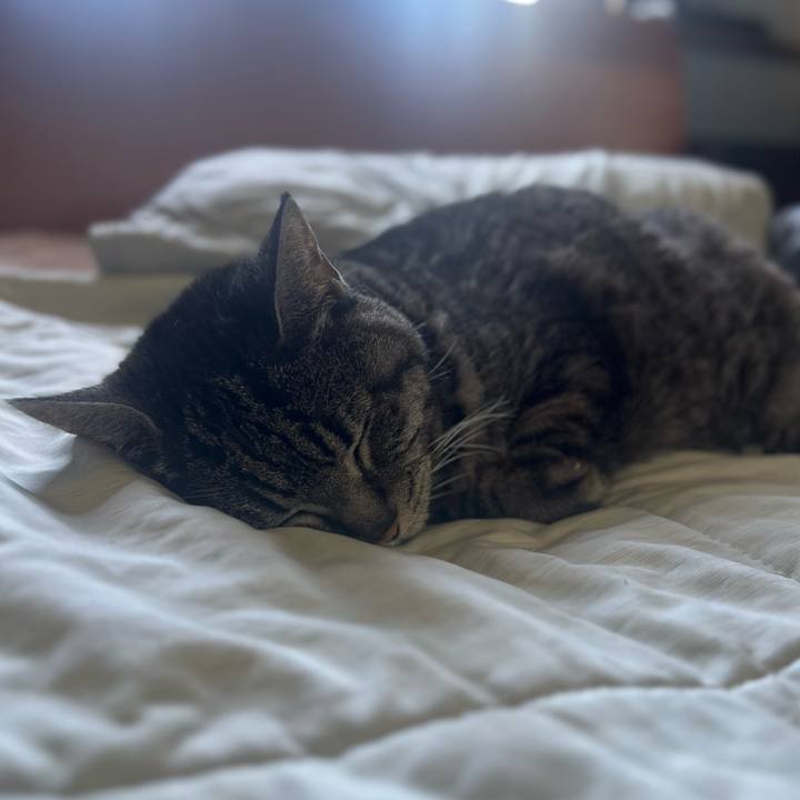 7a3e47de ce83 4e36 a0a9 6bcd076cf0a6 1760869666166