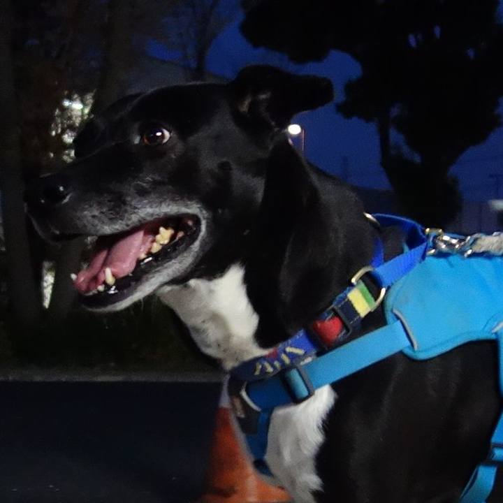 7a3e63e0 4635 4a2c b5f7 c83ce1f0dd3a 1680433312666