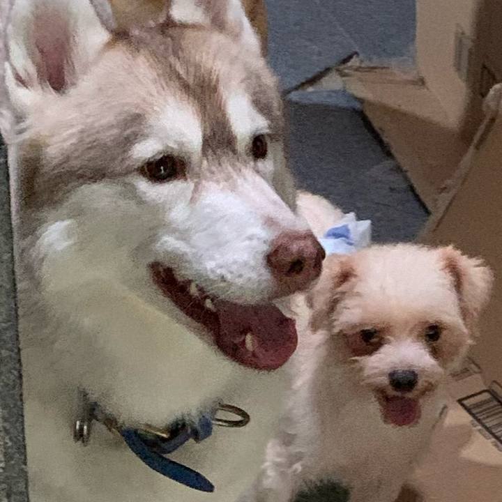 7a3e9c81 f874 49ab b49e 6e10e963cdda 1629693145971