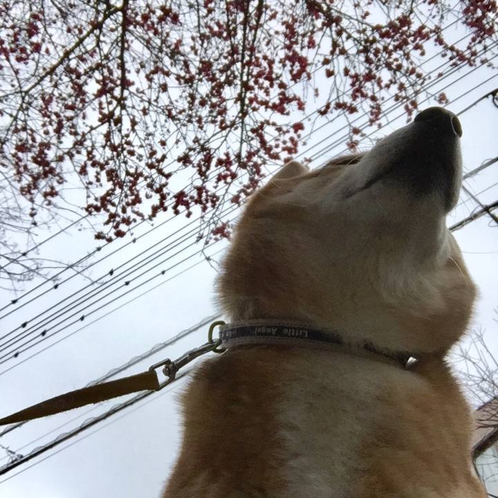 7a3eb145 812f 4ba7 980a 013993213277 1549848482295