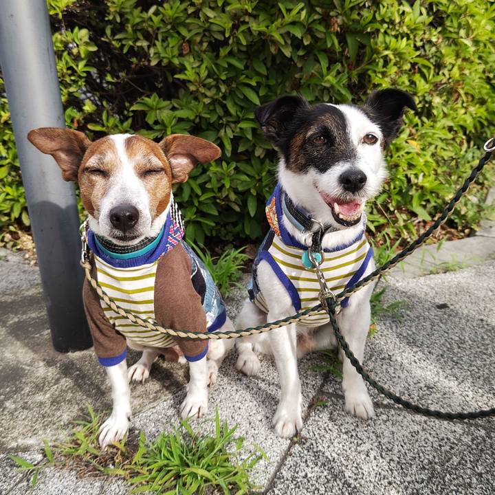 7a3f2432 9d82 4b1b a934 f26a627ef6d0 1750629433378