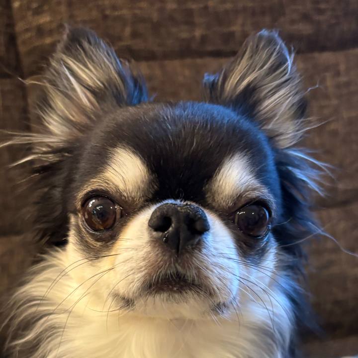 7a3f31f4 a4dd 4045 9378 61d111774939 1765586420663