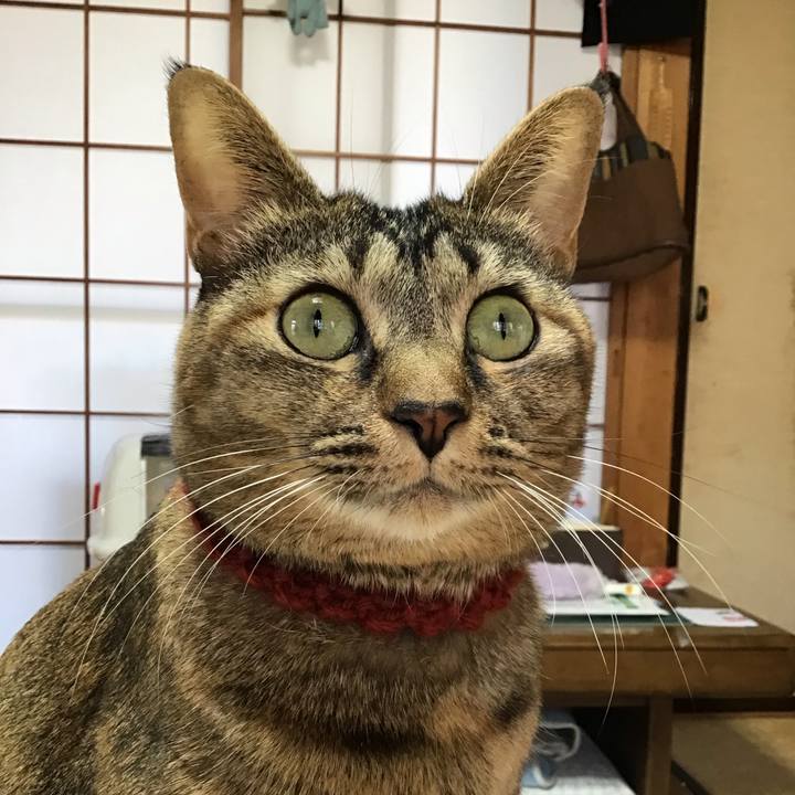 7a3f46da bd48 420a be35 091acd11bd03 1639263477152