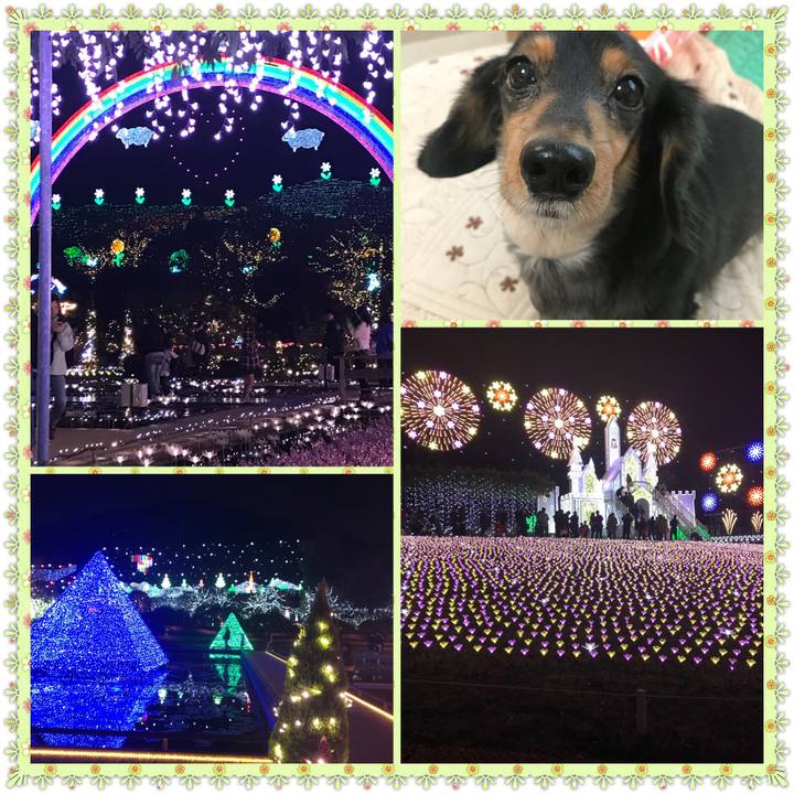 7a3f4e26 dfe2 40c7 9ec2 ff1849c326e8 1509747399993