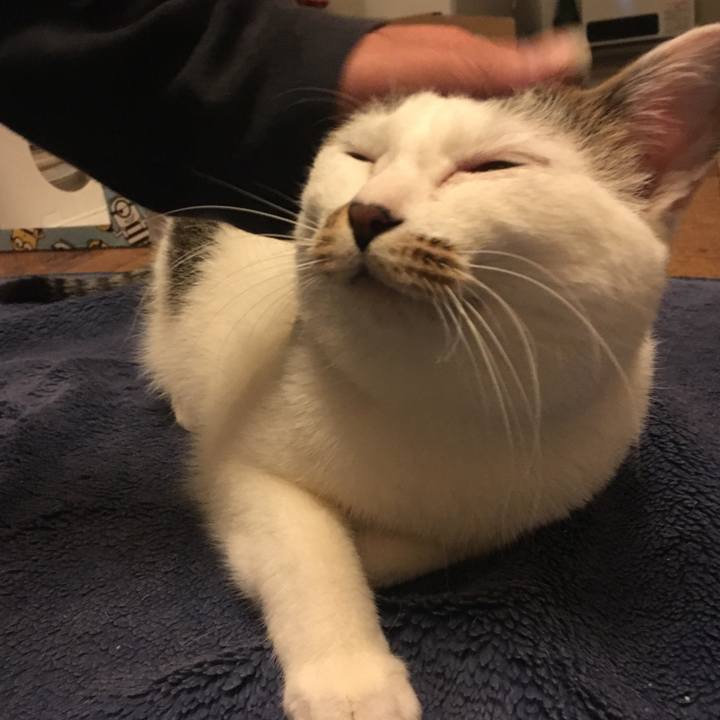 7a3f66e6 dbe0 4f52 93c9 087302fbad46 1523101040679