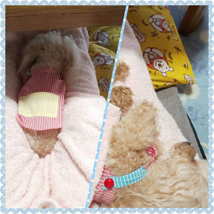 7a3f6fbe 36a6 4ec0 9932 548efbd3fadf 1630754440740