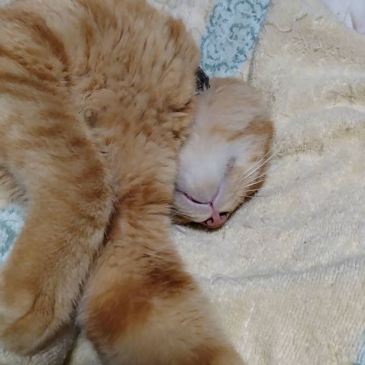 7a3fa7e2 6290 4d8c b9d1 a8b31b703c32 1695126901263