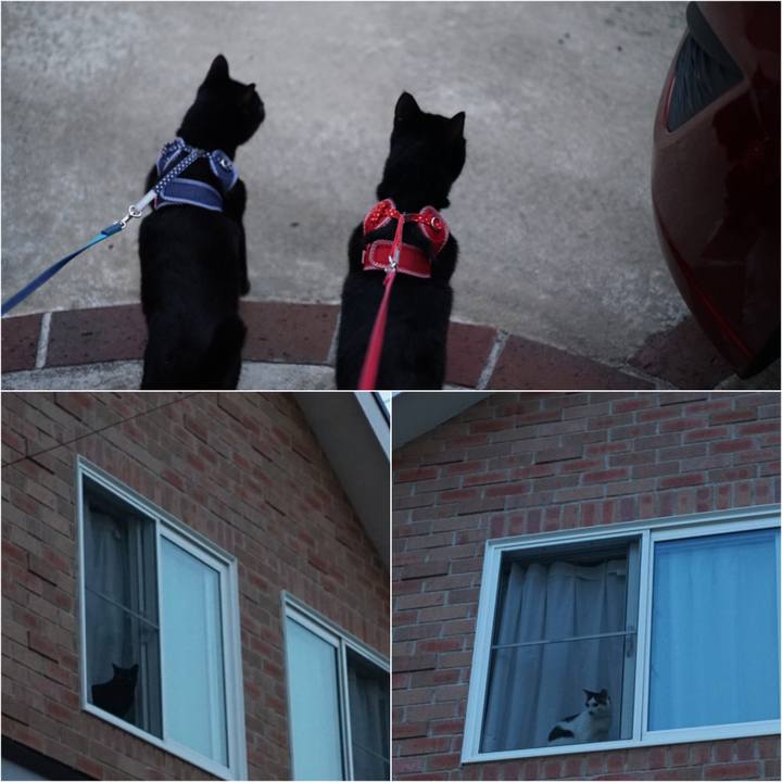 7a3fb251 d161 45f2 ae1f 00aef422a1d7 1527997129299