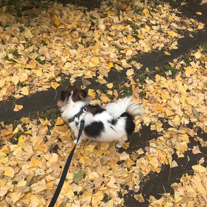 7a3fd8b6 2c60 49fa bf36 588069049829 1638881501401