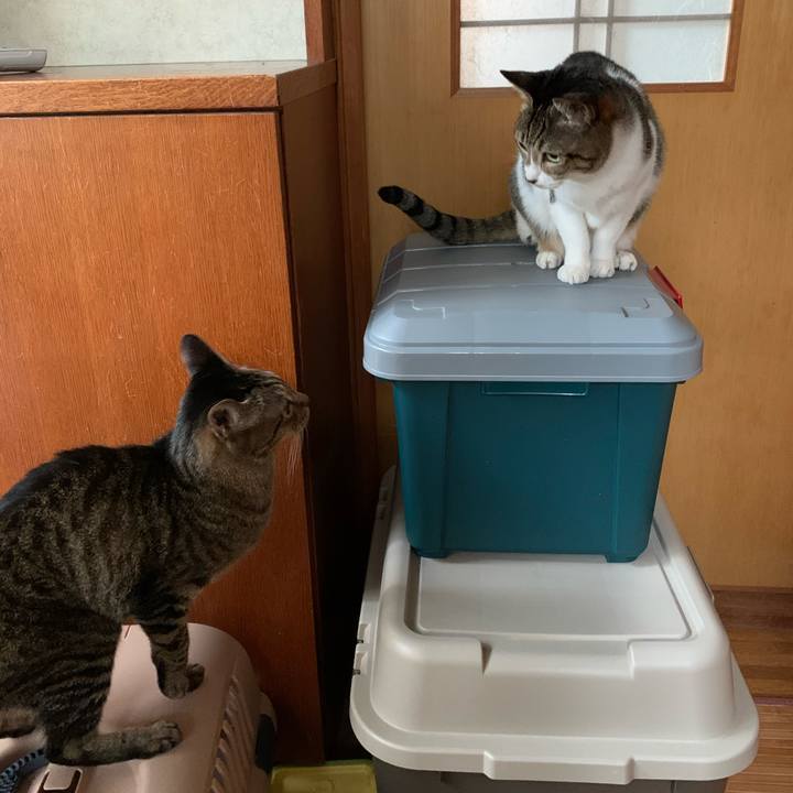 7a3fdd23 241c 4794 91c4 a06f45ea955b 1574471041483