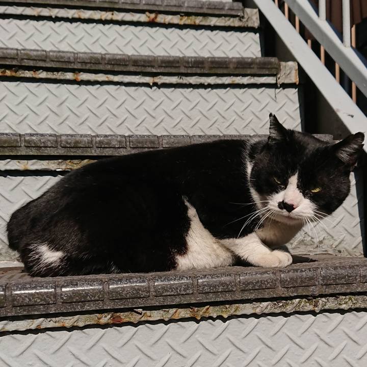 7a3ff02d 0baa 4041 ac88 e63a9f73933d 1554507087536