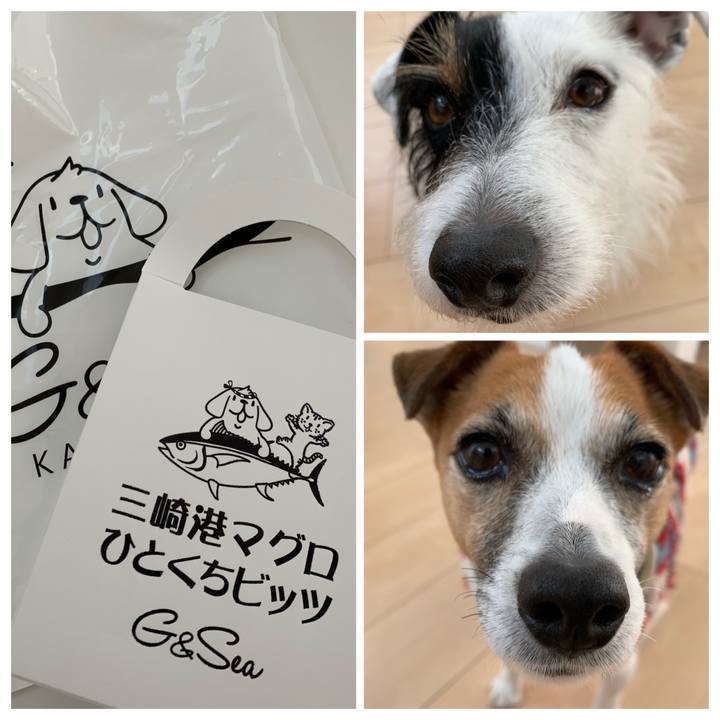 7a4016a2 77c4 4d7d 91dd ddc7b1a0ca5e 1578976968025