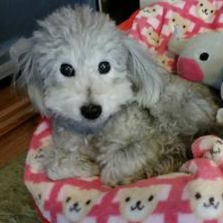 7a409ec8 1382 437a a6ab 22b3d6c66a66 1517442333950