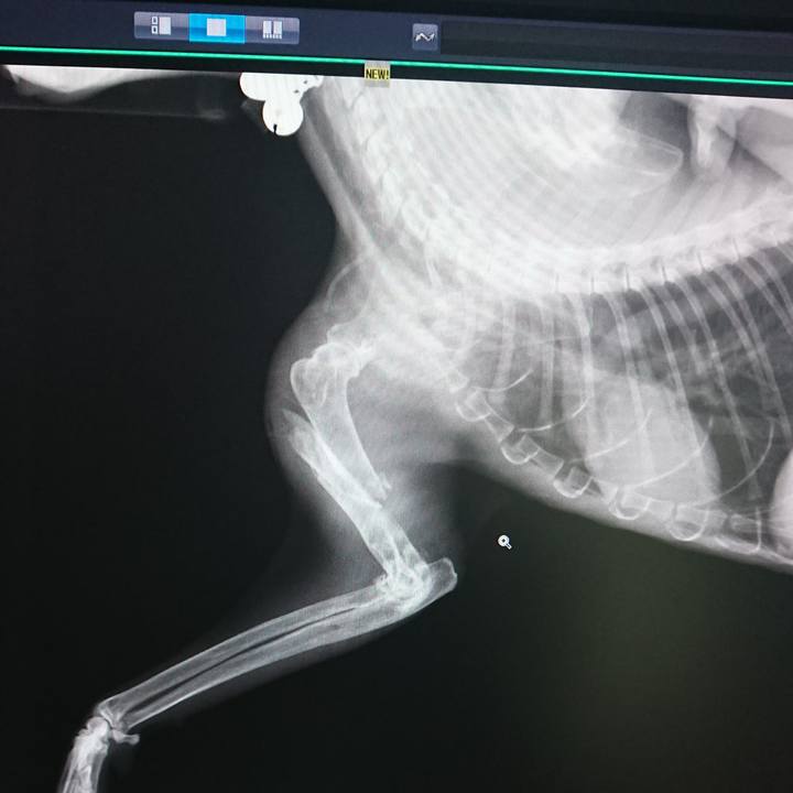 7a40ae38 2b56 4f44 a811 946e4e953d87 1585639609864