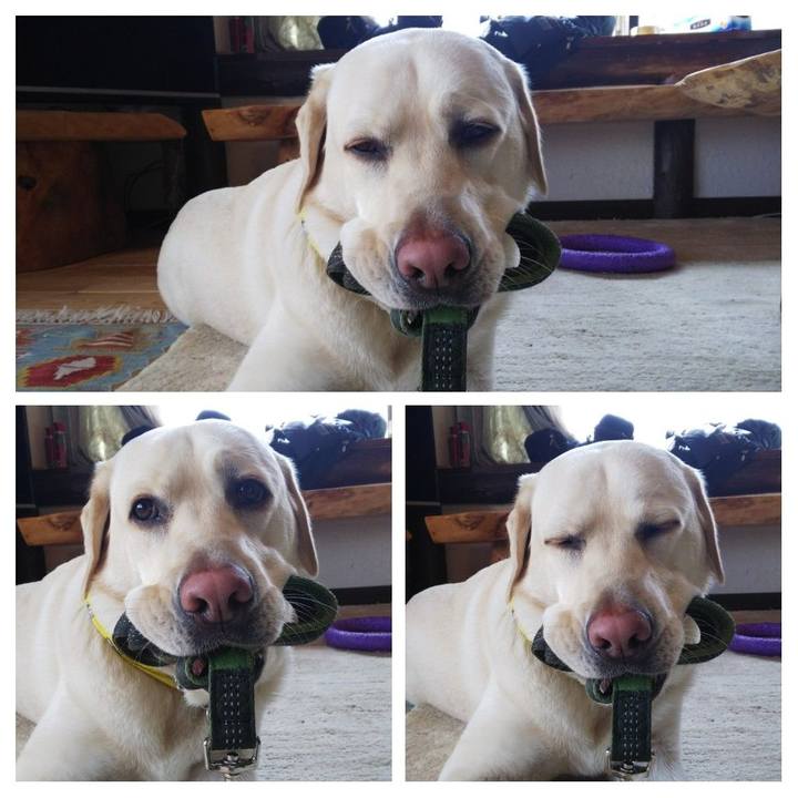 7a40b7f1 cddc 4e0c 99f2 9a190fc2759b 1521359394736