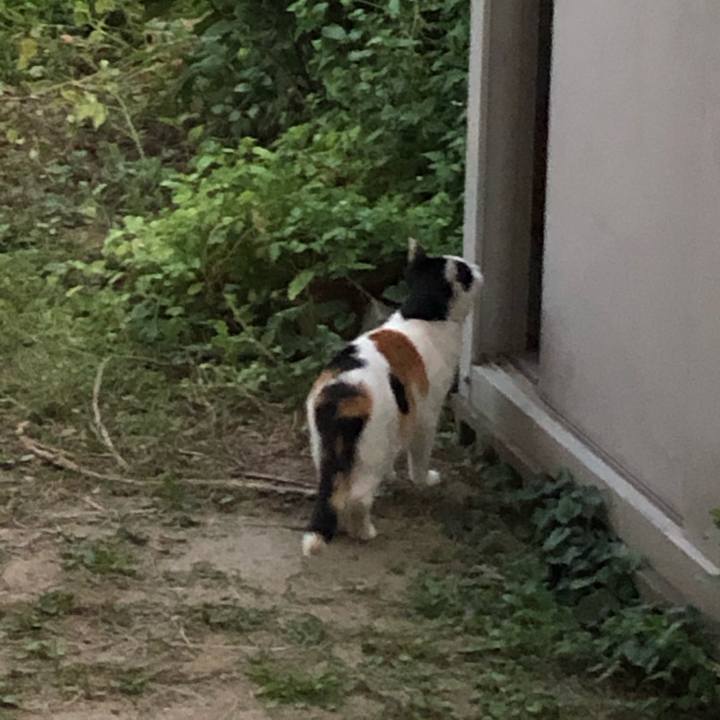 7a40deac 9ed1 415f b0a6 b24038ef0bfe 1602155575114