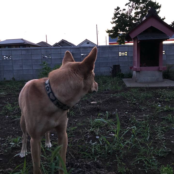 7a412da1 cdf7 491b 9d04 6bf0d71206bc 1560435181378