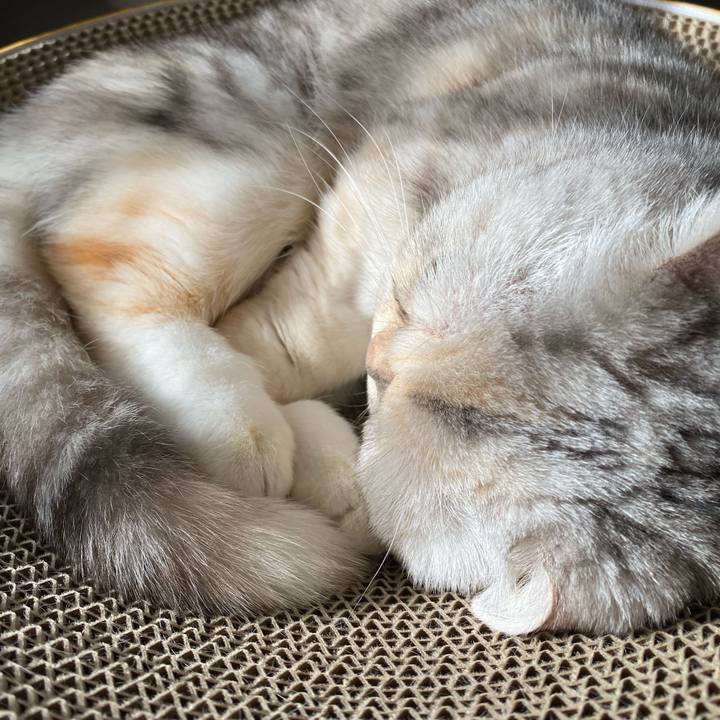 7a41382c 6546 4a65 be78 e49771ea4e85 1774337882375