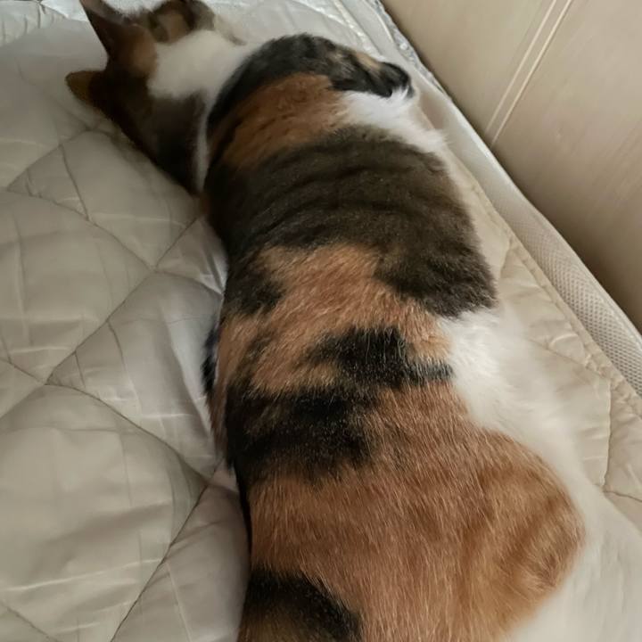 7a413eec b933 42e7 b36f 1d6df10bc086 1650703512799