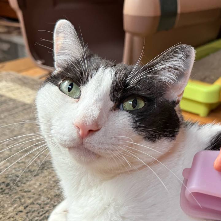 7a418b2e 42d9 47f3 82f3 571969b566e3 1749524082483