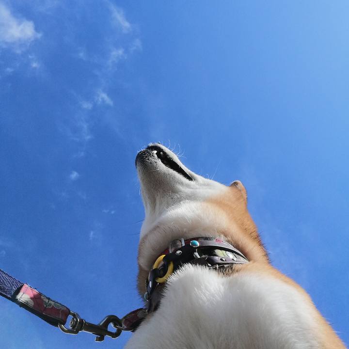 7a41b777 6879 4b85 ac68 8c887baf2f14 1619937905845