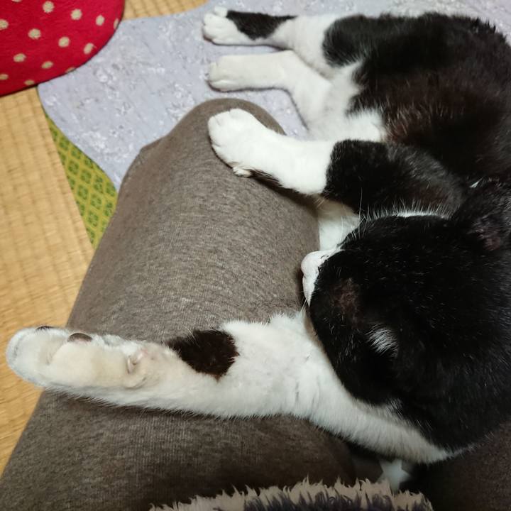 7a41b868 bc2b 4435 8465 25f7357f9074 1607860856762